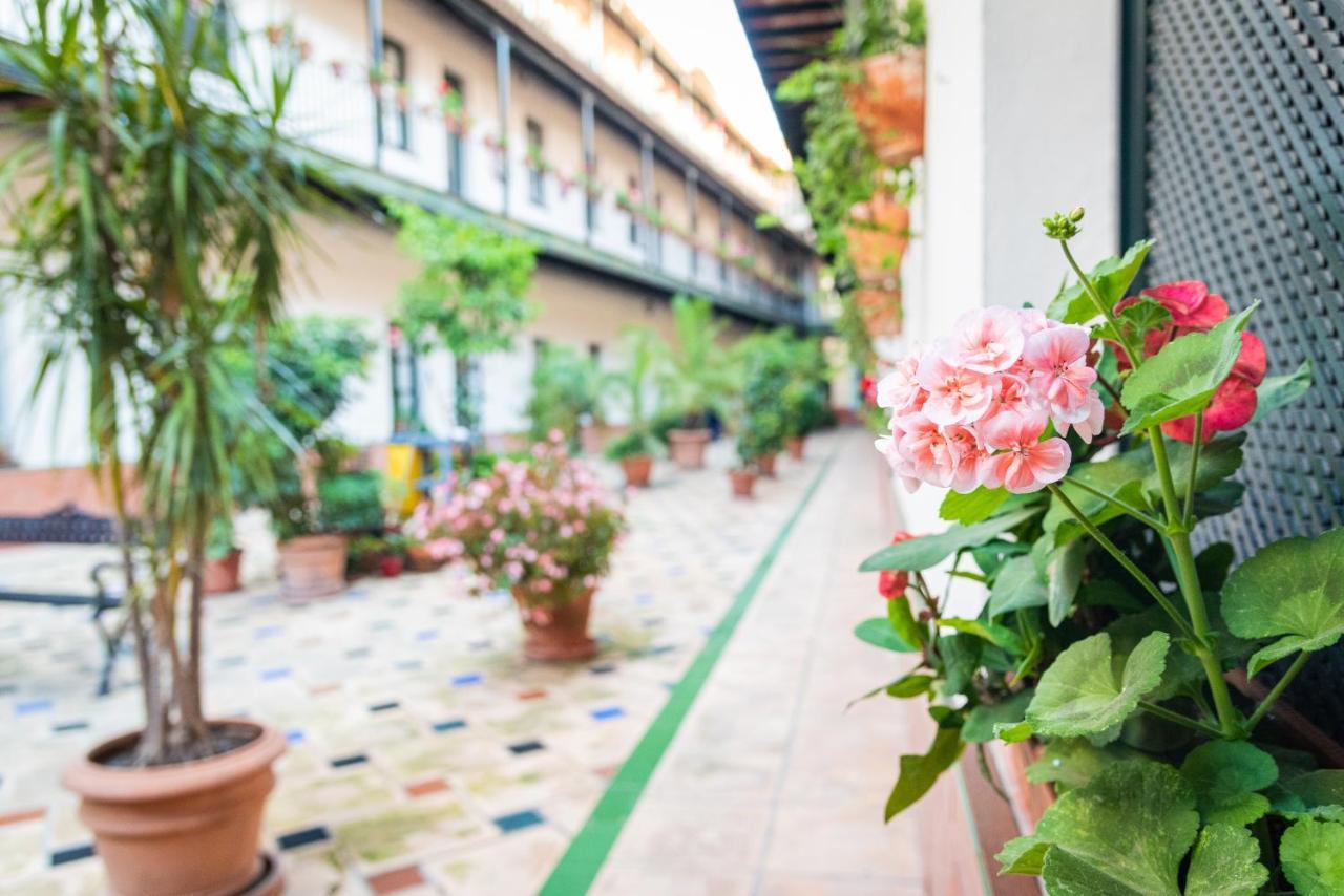 Hoteles Del Sur Sevilla Bagian luar foto